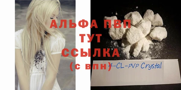 шишки Баксан