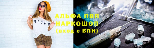 шишки Баксан