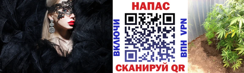купить наркоту  Ясный  Канабис гибрид 